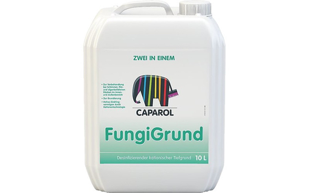 FungiGrund